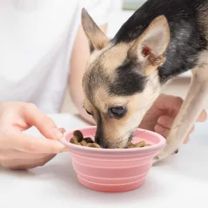 نمط صلب سيليكون قابل للطي وعاء قابل للطي . Solid Pattern Silicone Collapsible Bowl Portable Outdoor