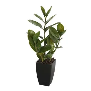 46cm Potted Artificial Zanzibar