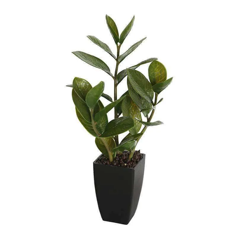 46cm Potted Artificial Zanzibar