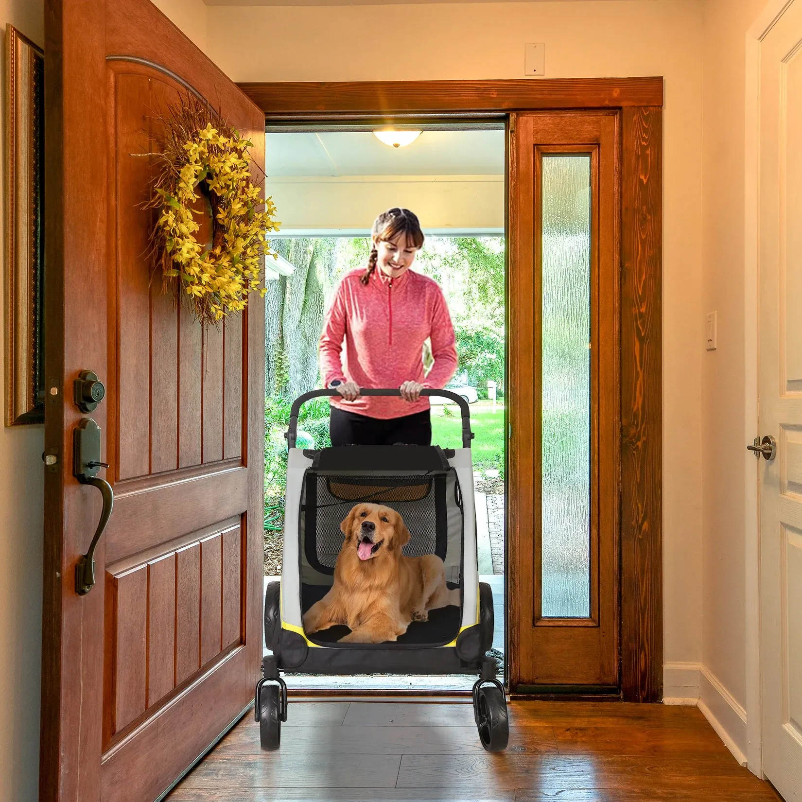 Double Dog Stroller Zipper Divider Wheels