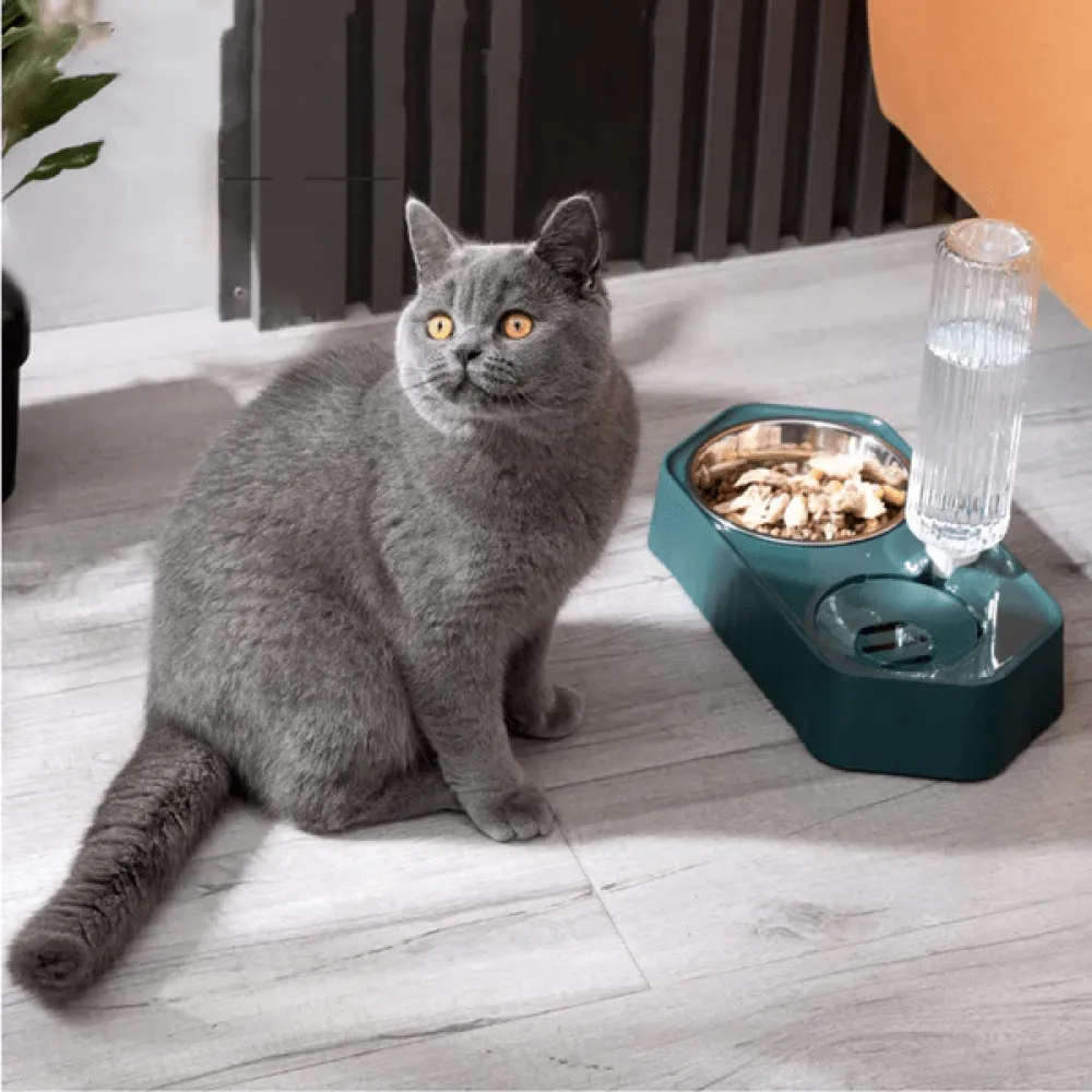 Emily Pets Automatic Water Dispenser Double Bowls for Dogs and Cats (Yellow)