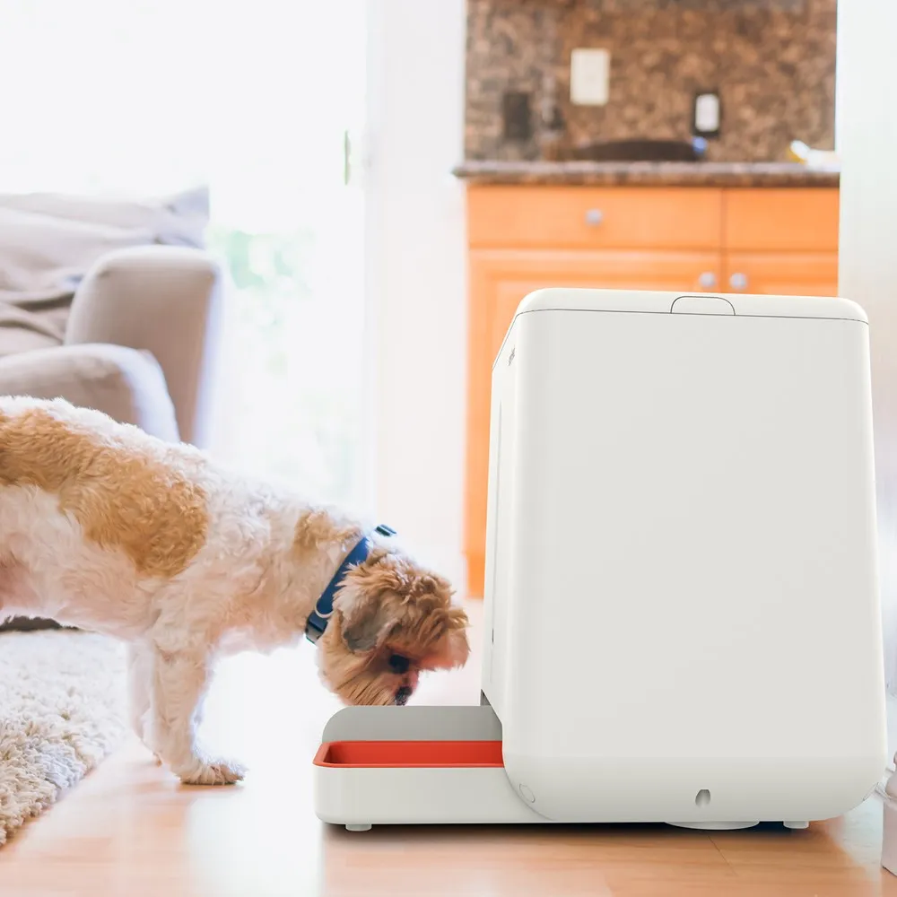 Gosh! EasyFeed Smart Automatic Pet Feeder