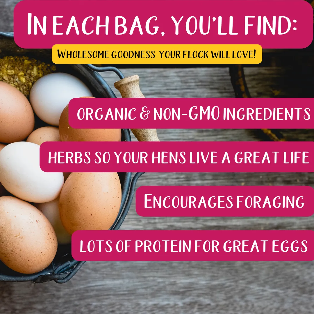 Herbal Non-GMO Chick Starter & Grower Feed With Oregano & Garlic For Baby Chicks: 5 pounds
