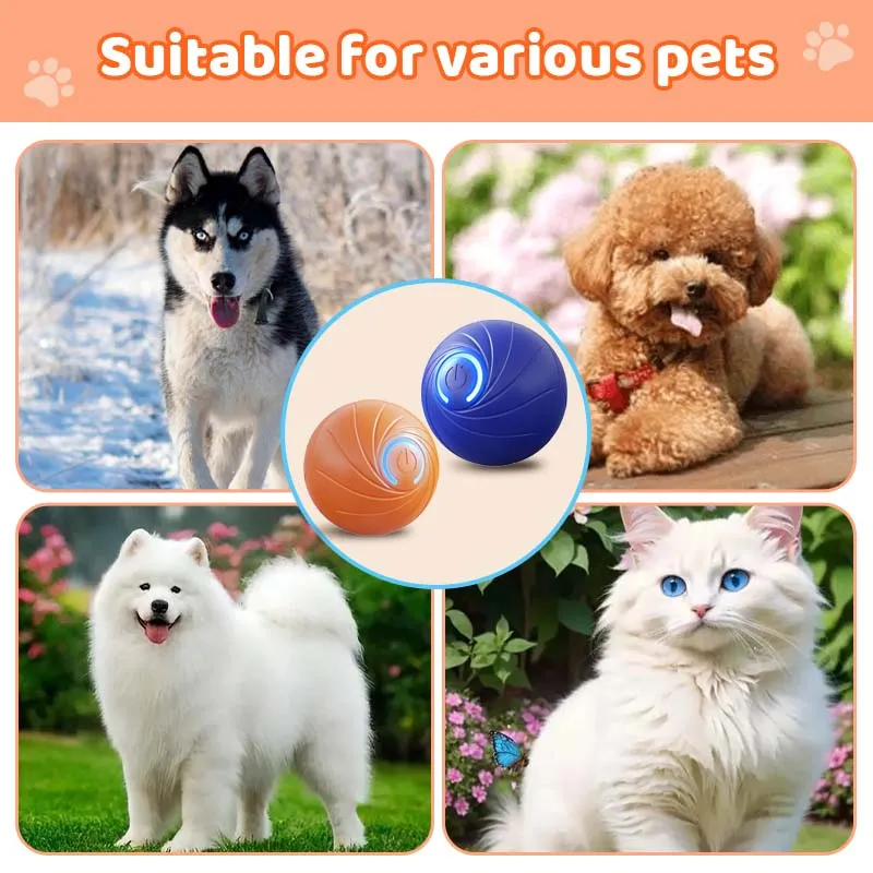 Xmas Sales - 50% OFFRechargeable Pet Interactive Motion Ball with Lights