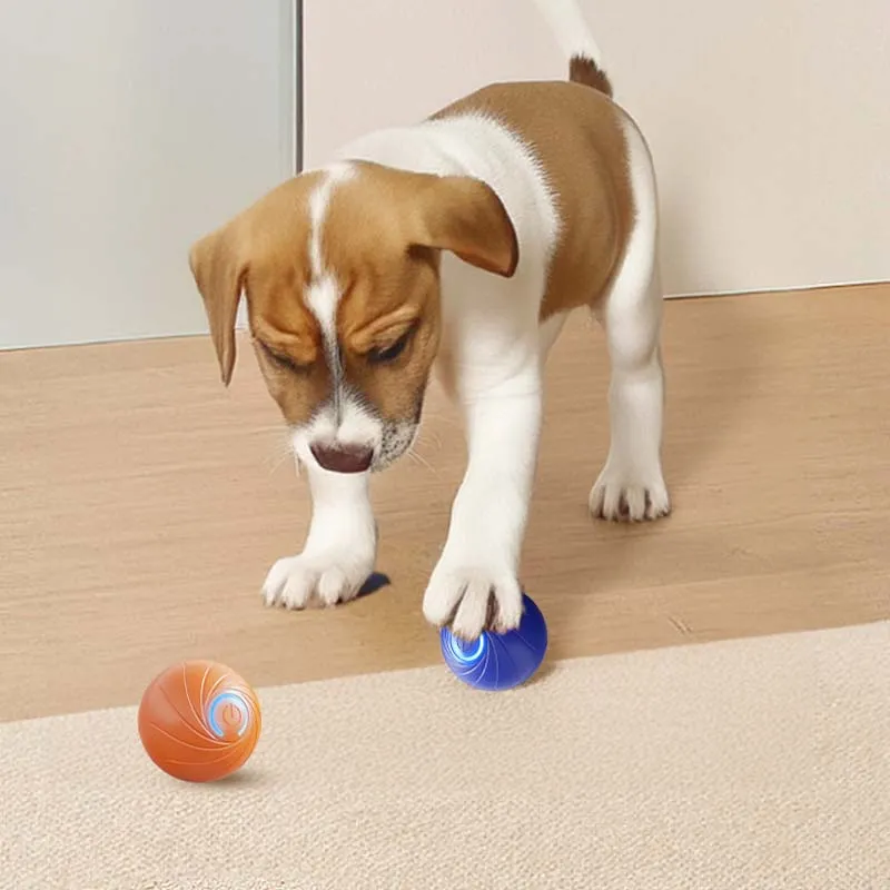 Xmas Sales - 50% OFFRechargeable Pet Interactive Motion Ball with Lights