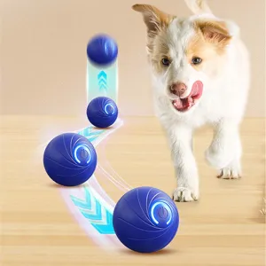 Xmas Sales - 50% OFFRechargeable Pet Interactive Motion Ball with Lights